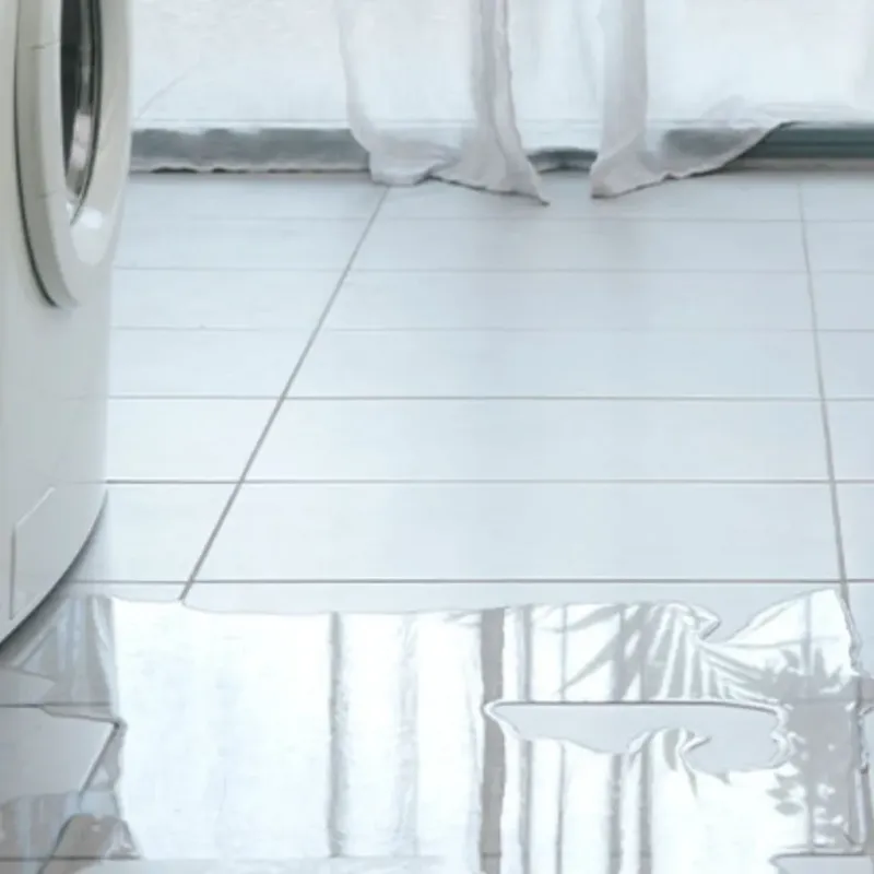 Appliance Leak Cleanup in Danville, AL