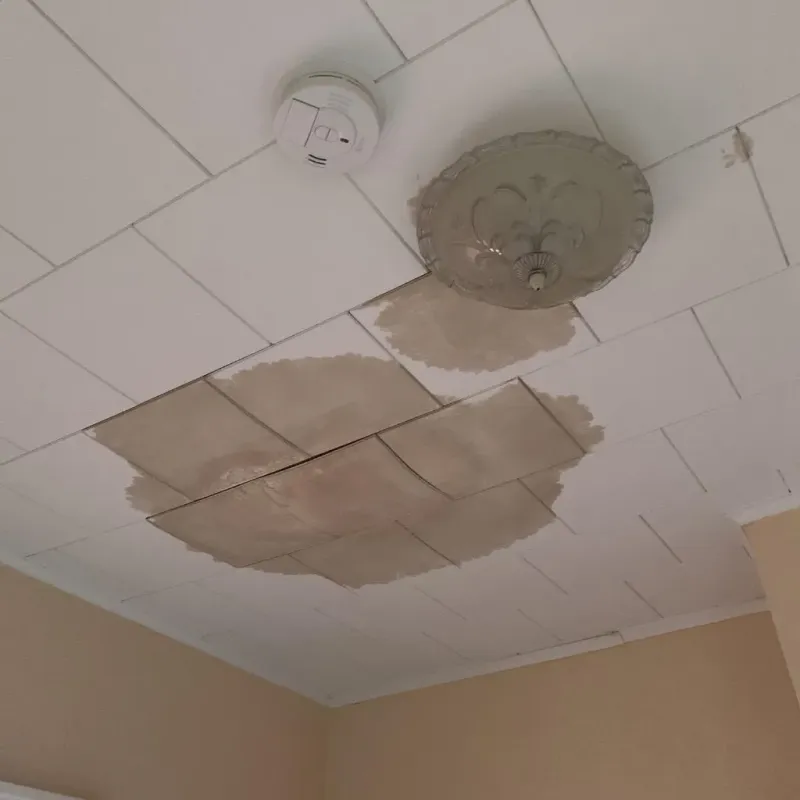 Ceiling Water Damage Repair in Danville, AL