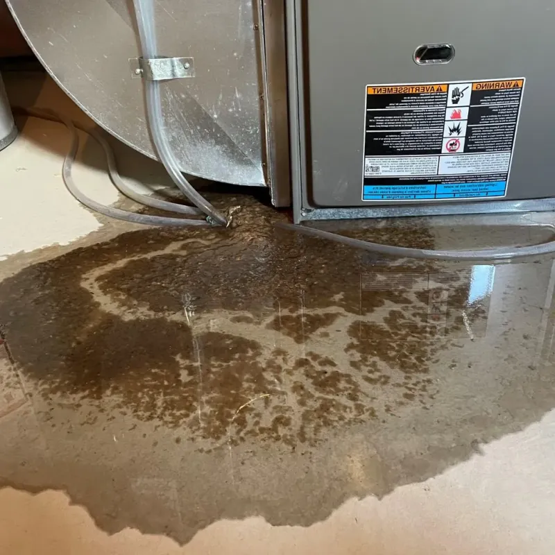 Pipe Burst and Leak Restoration in Danville, AL