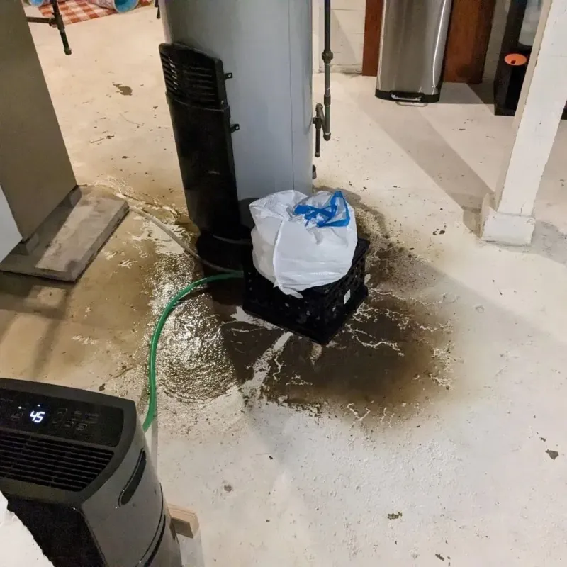 Sewage Backup Cleanup Service in Danville, AL